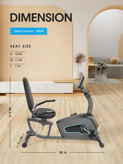 Exercise Bike Recumbent Indoor Stationary Exercise Bike for Home Use with Pluse Monitor Tablet Holder